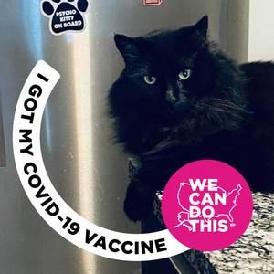 Meet your Posher, Trina